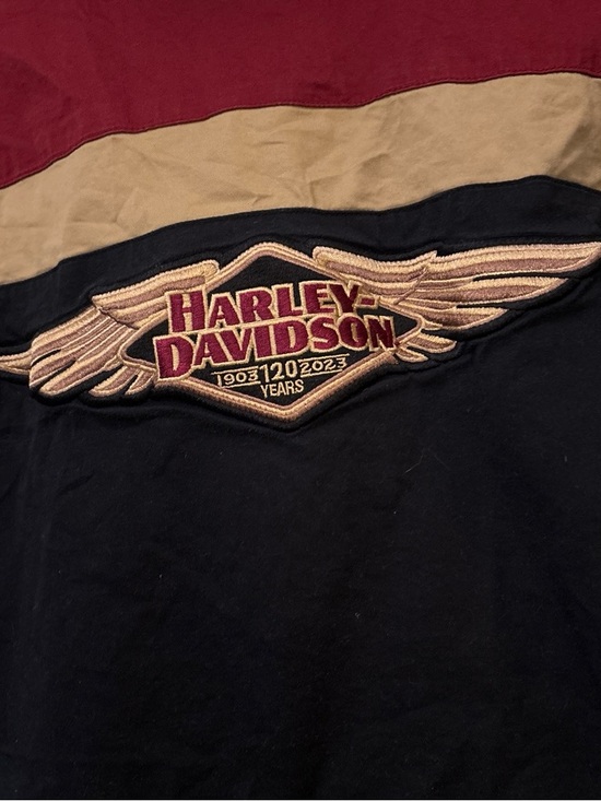 Harley-Davidson Other - Harley-Davidson Men's Black and Maroon Shirt